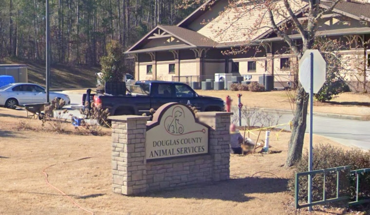 Douglasville Animal Shelter Under State-Enforced Quarantine Amid Viral Outbreak