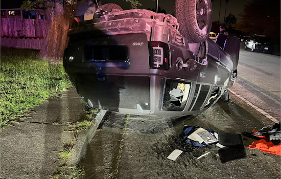 Dramatic High-Speed Chase in Sonoma County Ends with K-9 Capture, Suspect Charged with Assault