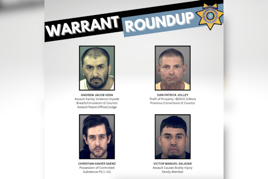 El Paso County Sheriff's Office Partners with Constables to Clear Backlog of Warrants, 21 Arrested in Joint Operation