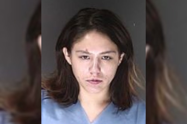 El Paso Deputies Arrest Two After Flock Safety Cameras Aid in Stolen Vehicle Recovery