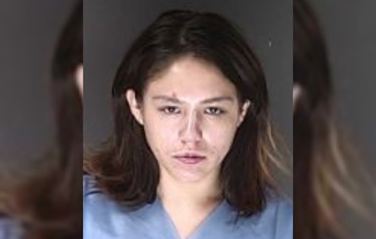 El Paso Deputies Arrest Two After Flock Safety Cameras Aid in Stolen Vehicle Recovery
