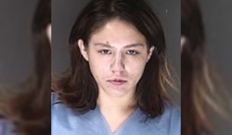 El Paso Deputies Arrest Two After Flock Safety Cameras Aid in Stolen Vehicle Recovery