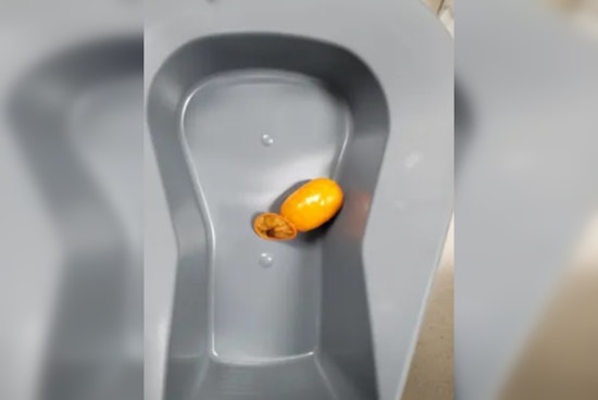 El Paso Port CBP Officers Intercept Man Smuggling Fentanyl Inside His Body