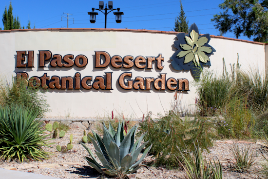 El Paso Zoo & Botanical Gardens Launches Spring Hours and Giraffe-Naming Contest