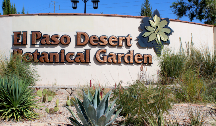 El Paso Zoo & Botanical Gardens Launches Spring Hours and Giraffe-Naming Contest