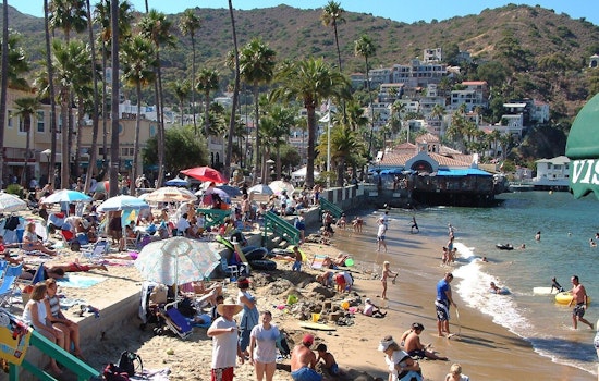 Elevated Bacterial Levels Prompt Warnings at Santa Monica Pier and Parts of Avalon Beach