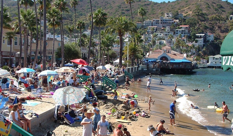 Elevated Bacterial Levels Prompt Warnings at Santa Monica Pier and Parts of Avalon Beach