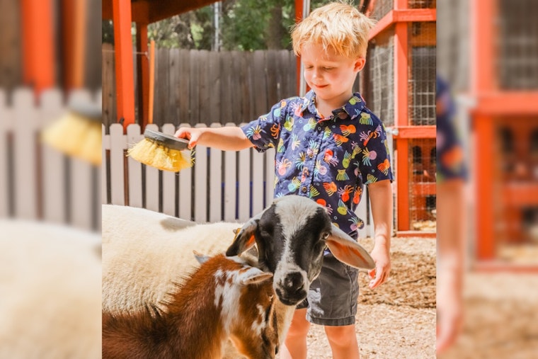Englewood's Belleview Park Reopens with Farm & Train Fun for Memorial Day Weekend