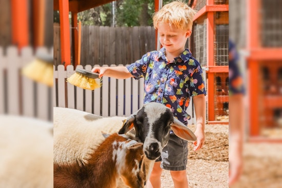 Englewood's Belleview Park Reopens with Farm & Train Fun for Memorial Day Weekend