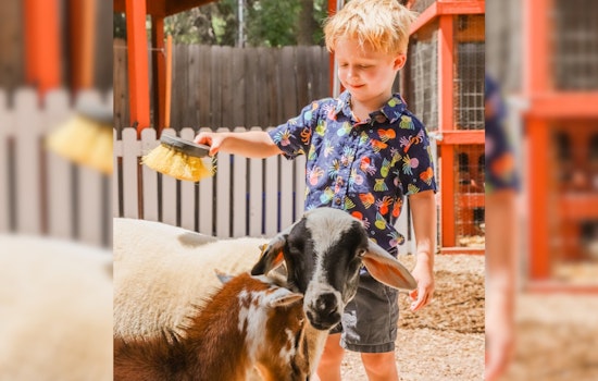 Englewood's Belleview Park Reopens with Farm & Train Fun for Memorial Day Weekend