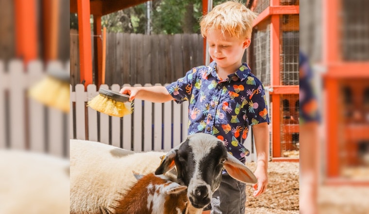 Englewood's Belleview Park Reopens with Farm & Train Fun for Memorial Day Weekend