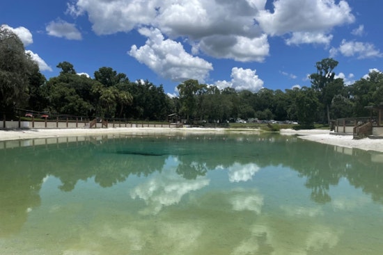 Escape the Florida Heat at Lithia Springs Conservation Park with Historic Waters and Night Swims