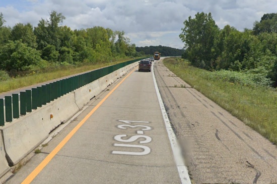 Escaped Bison Cause Traffic Stir on US-31 in Grand Traverse County, Michigan