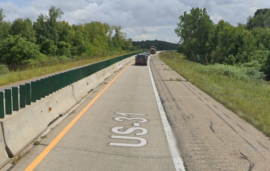 Escaped Bison Cause Traffic Stir on US-31 in Grand Traverse County, Michigan