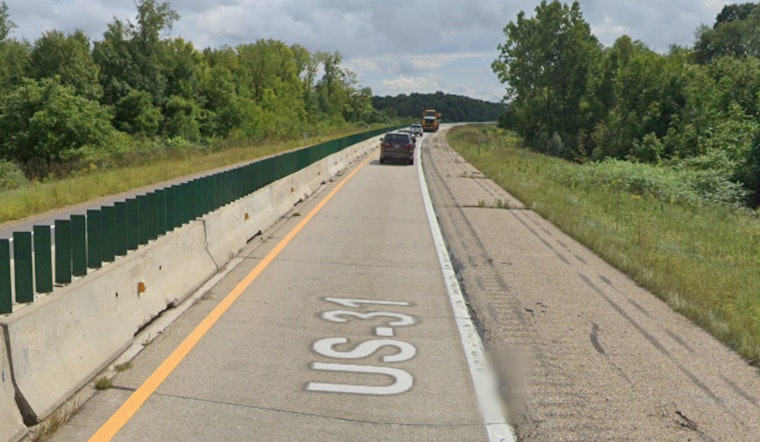 Escaped Bison Cause Traffic Stir on US-31 in Grand Traverse County, Michigan