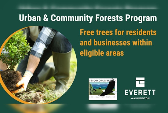 Everett Joins Forces with Snohomish Conservation District to Boost Urban Tree Coverage by 2028