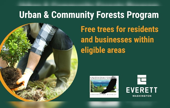 Everett Joins Forces with Snohomish Conservation District to Boost Urban Tree Coverage by 2028