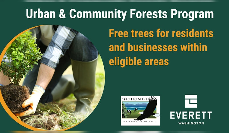 Everett Joins Forces with Snohomish Conservation District to Boost Urban Tree Coverage by 2028