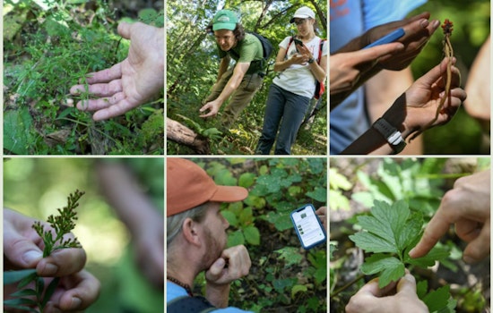 Explore Nature's Wonders at Minneapolis BioBlitz Event: Citizen Scientists Wanted