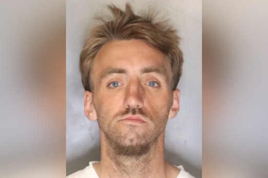 Fair Oaks Stabbing, Suspected Assailant with Prior Offenses Awaits Court Date