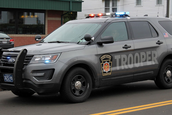 Fayette County Couple Charged with Aggravated Animal Cruelty in Redstone Township