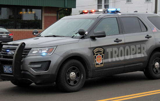 Fayette County Couple Charged with Aggravated Animal Cruelty in Redstone Township