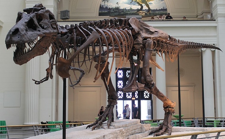 Field Museum Celebrates 25 Years of SUE the T. Rex with Interactive "Summer of SUE" Events in Chicago