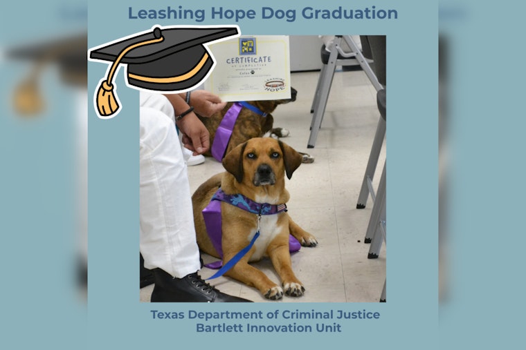 First Canine Graduates of Joint Inmate and Shelter Dog Training Program Celebrated in Williamson County