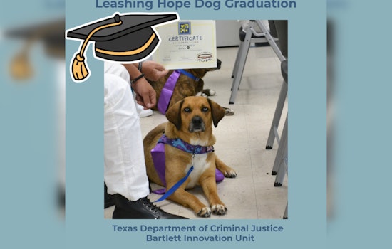 First Canine Graduates of Joint Inmate and Shelter Dog Training Program Celebrated in Williamson County