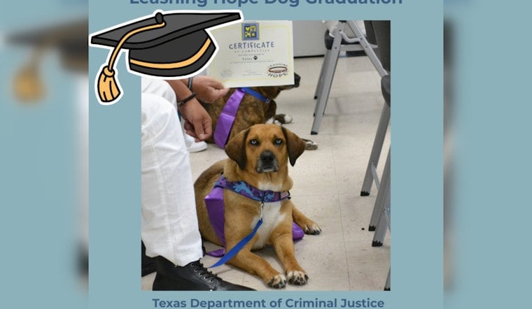 First Canine Graduates of Joint Inmate and Shelter Dog Training Program Celebrated in Williamson County