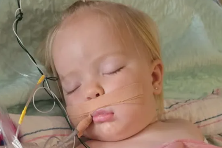 Florence Community Rallies for Recovery of Toddler Bitten by Rattlesnake, Airlifted to Phoenix Hospital