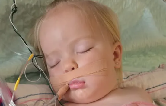 Florence Community Rallies for Recovery of Toddler Bitten by Rattlesnake, Airlifted to Phoenix Hospital