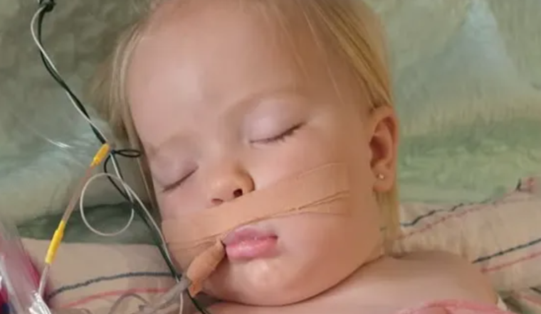 Florence Community Rallies for Recovery of Toddler Bitten by Rattlesnake, Airlifted to Phoenix Hospital