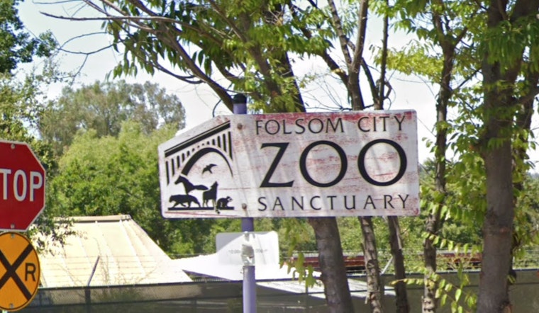 Folsom City Zoo Sanctuary Welcomes Bear Enthusiasts for Black Bear Awareness Weekend