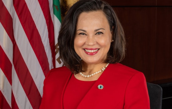 Former Irvine Councilmember Tammy Kim Charged with Felony Perjury Over Residency Lies