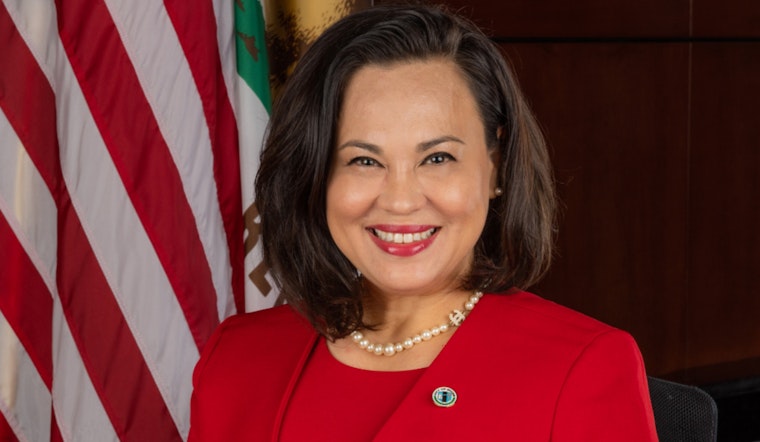 Former Irvine Councilmember Tammy Kim Charged with Felony Perjury Over Residency Lies
