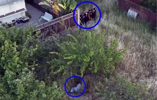 Fremont Break-In and Attempted Arson Suspect Apprehended with Help of Drone and K-9 Unit