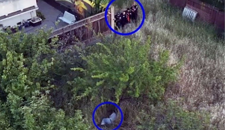 Fremont Break-In and Attempted Arson Suspect Apprehended with Help of Drone and K-9 Unit