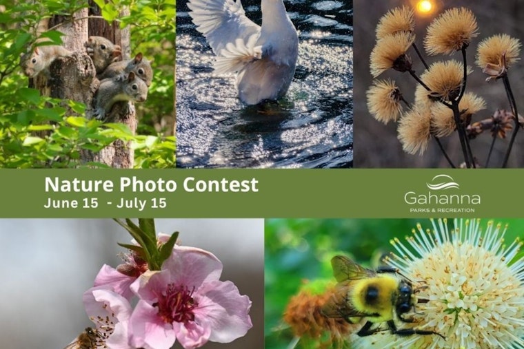 Gahanna Calls for Entries in 2025 Nature Photo Contest, Capture the City's Beauty