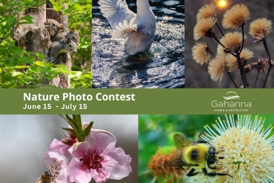 Gahanna Calls for Entries in 2025 Nature Photo Contest, Capture the City's Beauty