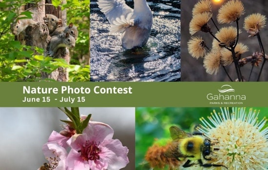 Gahanna Calls for Entries in 2025 Nature Photo Contest, Capture the City's Beauty