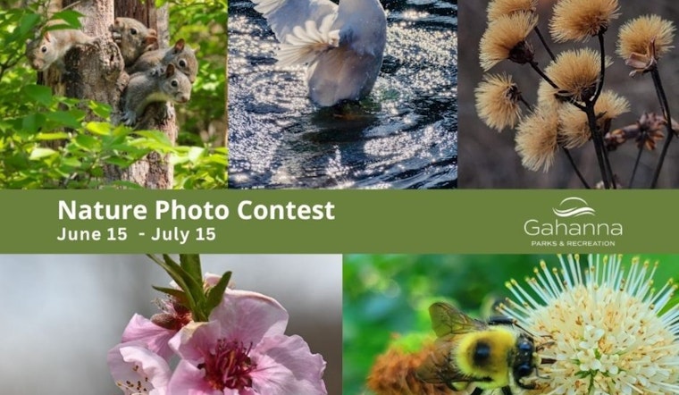 Gahanna Calls for Entries in 2025 Nature Photo Contest, Capture the City's Beauty