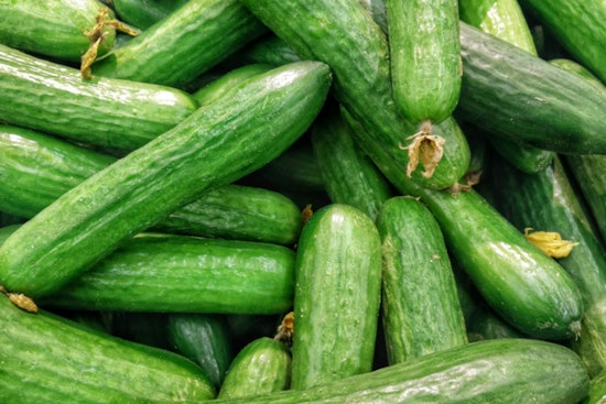 Georgia Grown Cucumbers Cleared for Safe Consumption Amid National Salmonella Scare