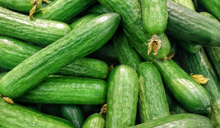 Georgia Grown Cucumbers Cleared for Safe Consumption Amid National Salmonella Scare