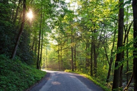 Great Smoky Mountains Announce June Start for Cades Cove Vehicle-Free Wednesdays