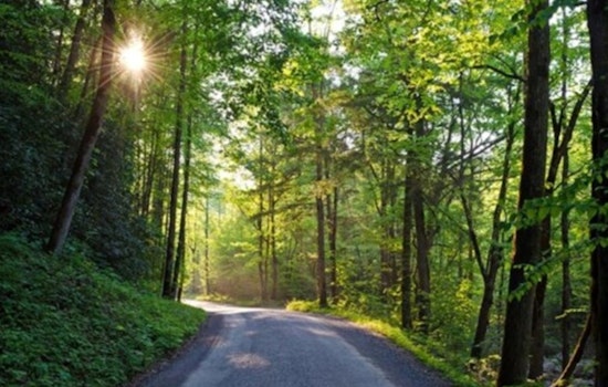 Great Smoky Mountains Announce June Start for Cades Cove Vehicle-Free Wednesdays