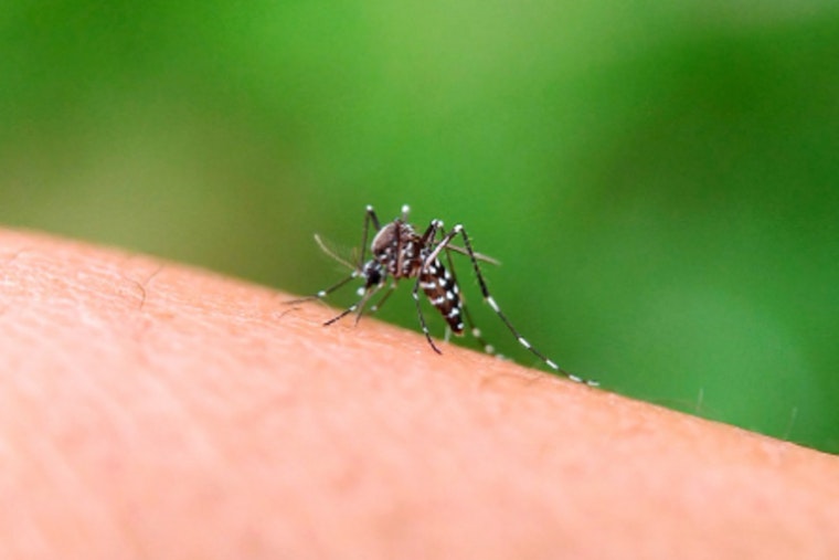 Hawaiʻi Health Officials Respond to Travel-Related Zika Case on Oʻahu, Vector Control Mobilizes in Waialua/Haleʻiwa Area