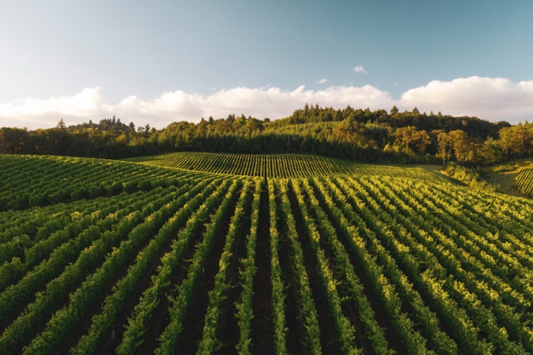 Healey-Driscoll Administration Injects $2 Million into Massachusetts' Agricultural Programs and Local Markets