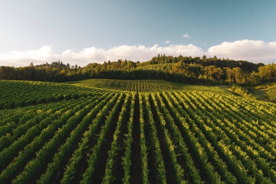 Healey-Driscoll Administration Injects $2 Million into Massachusetts' Agricultural Programs and Local Markets