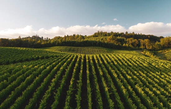 Healey-Driscoll Administration Injects $2 Million into Massachusetts' Agricultural Programs and Local Markets